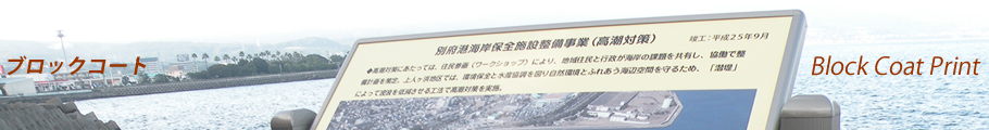 ubNR[g